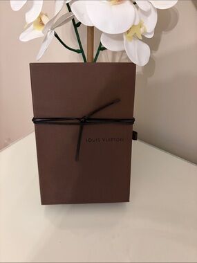 Louis Vuitton Brown Box with Dark Brown leather tie